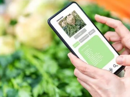 防偽標簽定制服務，讓您的品牌更出眾